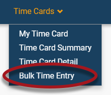 Time_Cards_Walkthrough__213335907__Time_Cards_-_Bulk_Time_Entry.png