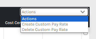 Custom_Pay_Rates_-_Actions_-_00.png