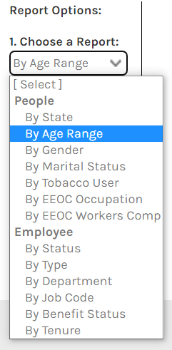 CHR_-_Reports_-_Employee_-_Demographics_Dashboard_-_Step_1_-_00.png
