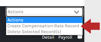CHR_-_Employee_-_Payroll_-_Compensation_-_Actions_-_01.png